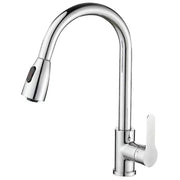 Kitchen Pull Out Faucet Stainless Steel Double Outlet Cold and Hot Water Mixer Dish Washing Basin Sink Retractable Water Tap