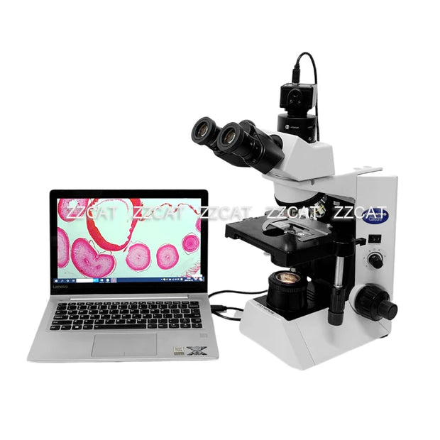 5MP USB2.0 Cmos Microscope Digital Electronic Eyepice Camera Video Industrial Camera for Stereo Microscope Image Capture